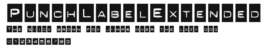 PunchLabelExtended Preview