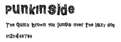 PunkInside Preview