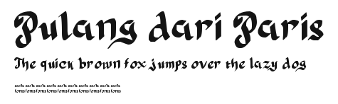 Pulang dari Paris Preview