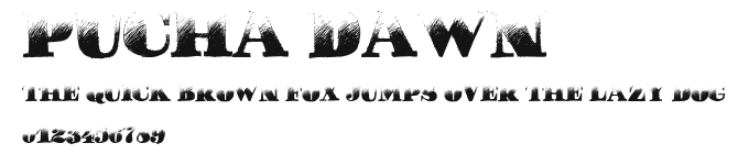 Pucha DAWN Preview