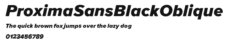ProximaSansBlackOblique Preview