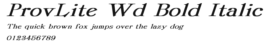 ProvLite Wd Bold Italic Preview