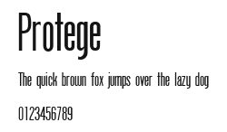 Protege Preview