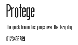 Protege Preview