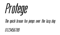 Protege Preview