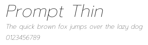 Prompt Thin Preview