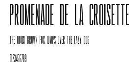 Promenade de la Croisette Preview