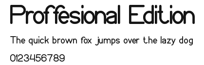 Proffesional Edition Preview