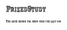 PrizedStudy Preview