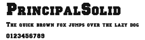 PrincipalSolid Preview