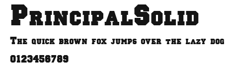 PrincipalSolid Preview