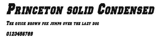 Princeton solid Condensed Preview