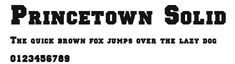 Princetown Solid Preview