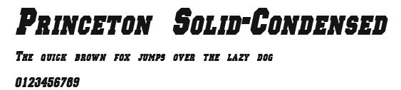 Princeton Solid-Condensed Preview