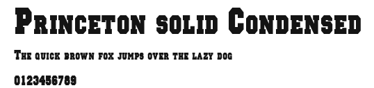 Princeton solid Condensed Preview