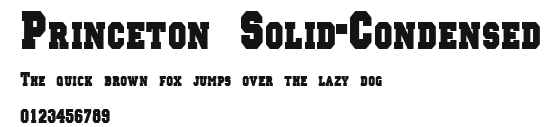 Princeton Solid-Condensed Preview