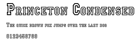 Princeton Condensed Preview