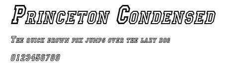 Princeton Condensed Preview