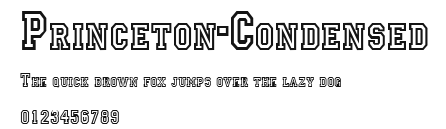 Princeton-Condensed Preview
