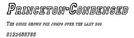 Princeton-Condensed Preview