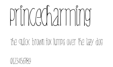 PrinceCharming Preview