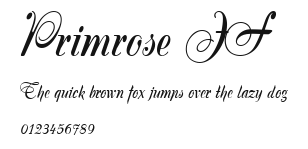 Primrose JF Preview