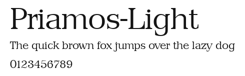 Priamos-Light Preview