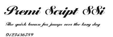 Premi Script SSi Preview