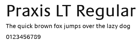 Praxis LT Regular Preview