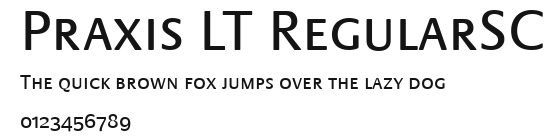 Praxis LT RegularSC Preview