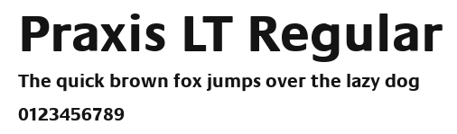 Praxis LT Regular Preview