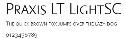 Praxis LT LightSC Preview