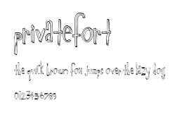 PrivateFort Preview