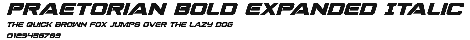 Praetorian Bold Expanded Italic Preview