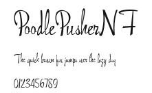 PoodlePusherNF Preview