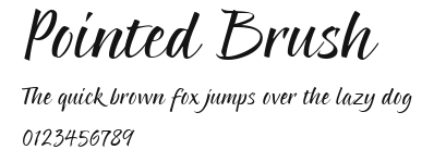 Pointed Brush Preview