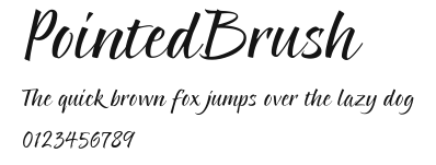 PointedBrush Preview