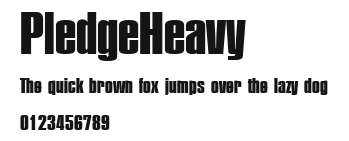 PledgeHeavy Preview