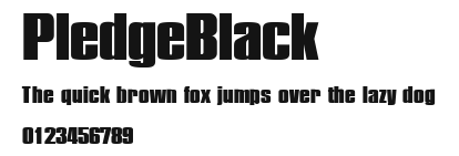 PledgeBlack Preview