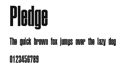 Pledge Preview
