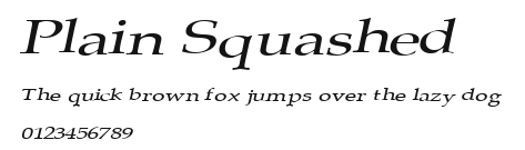 Plain Squashed Preview