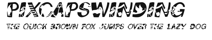 PixCapsWinding Preview