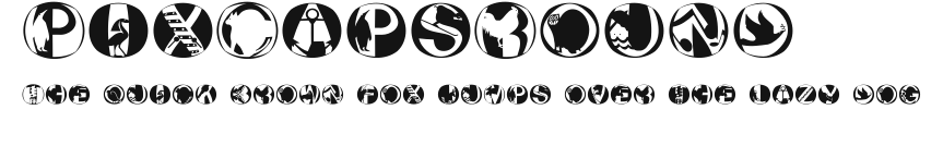 PixCapsRound Preview