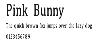 Pink Bunny Preview