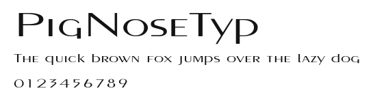 PigNoseTyp Preview