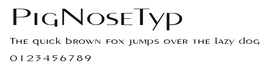 PigNoseTyp Preview