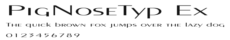 PigNoseTyp Ex Preview