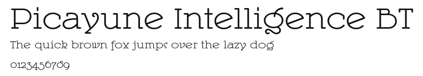 Picayune Intelligence BT Preview