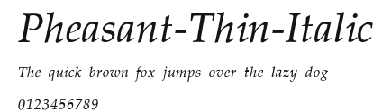 Pheasant-Thin-Italic Preview