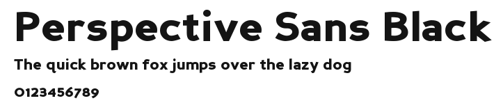 Perspective Sans Black Preview